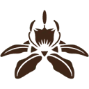 The Blessed Seed